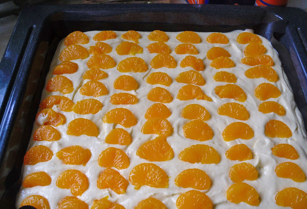Elch-Report - Buttermilch-Mandarinen-Kuchen
